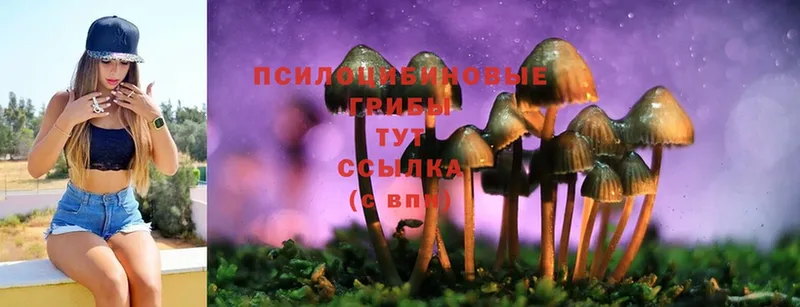 Галлюциногенные грибы Cubensis  как найти закладки  Балахна 